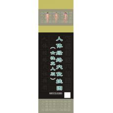 人體經(jīng)絡(luò)穴位掛圖(女性真人版)
