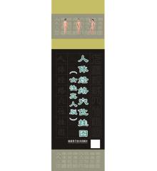 人體經(jīng)絡(luò)穴位掛圖(女性真人版)