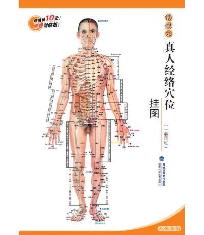 便攜式真人經(jīng)絡穴位掛圖