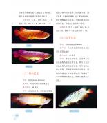 全新熱帶魚飼養(yǎng)手冊(cè)