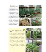 種菜達人私家秘訣