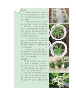 種菜達人私家秘訣
