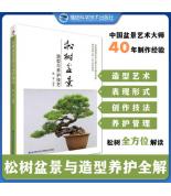 松樹盆景造型與...