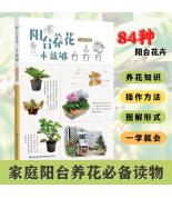 陽臺養(yǎng)花一本就...