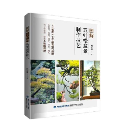 D?bio)辰? class=